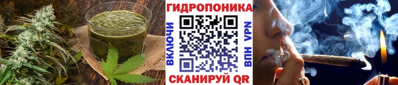 Купить закладки  Малмыж  Печенье с ТГК марихуана 