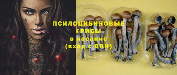 шишки Бугульма