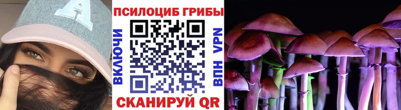 Псилоцибиновые грибы ЛСД  Купить где  Малмыж 